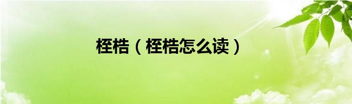 桎梏（桎梏怎么读）