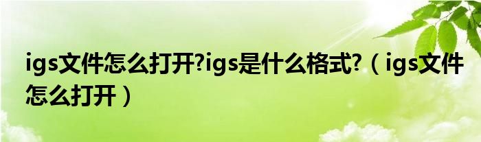 igs文件怎么打开?igs是什么格式?（igs文件怎么打开）