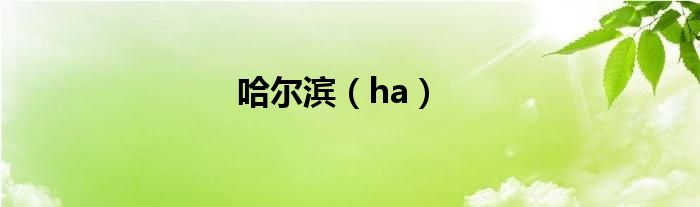 哈尔滨（ha）