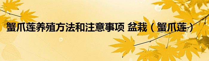蟹爪莲养殖方法和注意事项 盆栽（蟹爪莲）