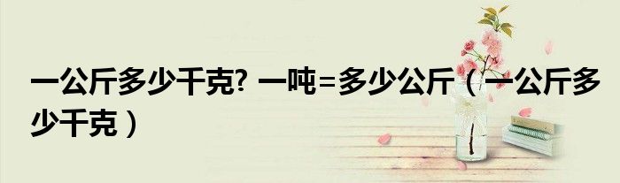 一公斤多少千克? 一吨=多少公斤（一公斤多少千克）