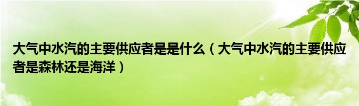 大气中水汽的主要供应者是是什么（大气中水汽的主要供应者是森林还是海洋）