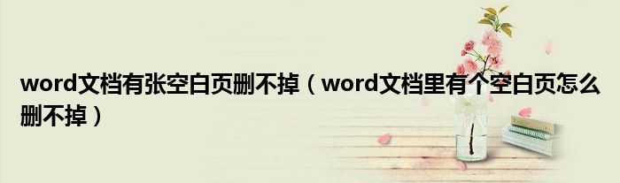 word文档有张空白页删不掉（word文档里有个空白页怎么删不掉）