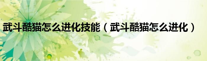 武斗酷猫怎么进化技能（武斗酷猫怎么进化）