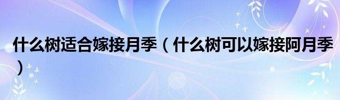 什么树适合嫁接月季（什么树可以嫁接阿月季）