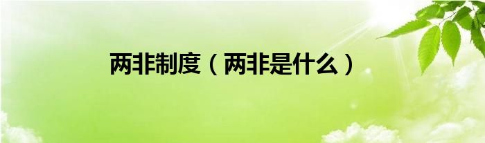 两非制度（两非是什么）