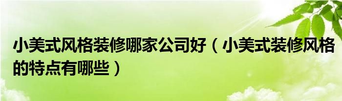 小美式风格装修哪家公司好（小美式装修风格的特点有哪些）