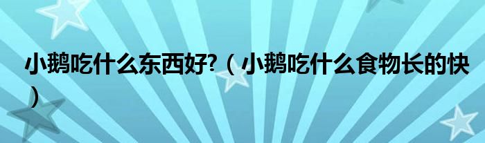 小鹅吃什么东西好?（小鹅吃什么食物长的快）