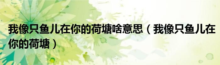 我像只鱼儿在你的荷塘啥意思（我像只鱼儿在你的荷塘）