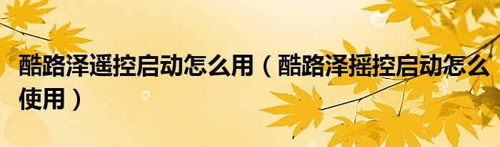 酷路泽遥控启动怎么用（酷路泽摇控启动怎么使用）