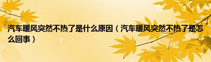 汽车暖风突然不热了是什么原因（汽车暖风突然不热了是怎么回事）