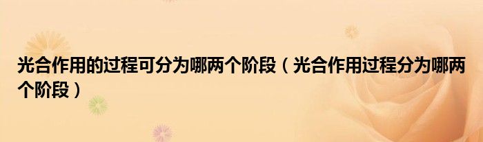 光合作用的过程可分为哪两个阶段（光合作用过程分为哪两个阶段）