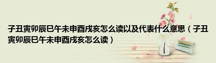子丑寅卯辰巳午未申酉戌亥怎么读以及代表什么意思（子丑寅卯辰巳午未申酉戌亥怎么读）