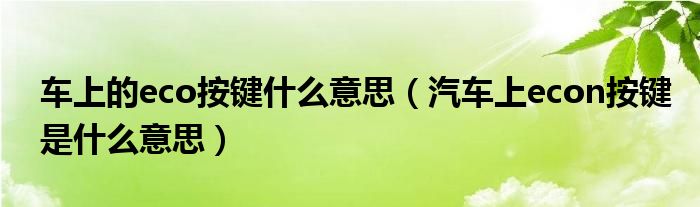 车上的eco按键什么意思（汽车上econ按键是什么意思）