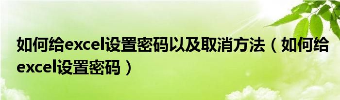 如何给excel设置密码以及取消方法（如何给excel设置密码）