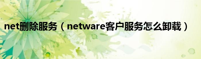 net删除服务（netware客户服务怎么卸载）