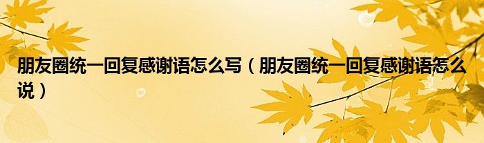 朋友圈统一回复感谢语怎么写（朋友圈统一回复感谢语怎么说）