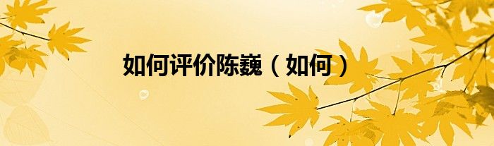 如何评价陈巍（如何）