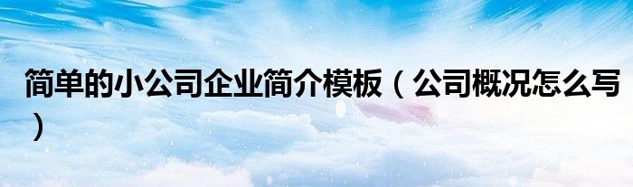 简单的小公司企业简介模板（公司概况怎么写）
