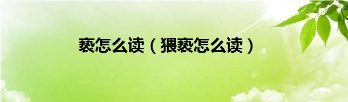 亵怎么读（猥亵怎么读）
