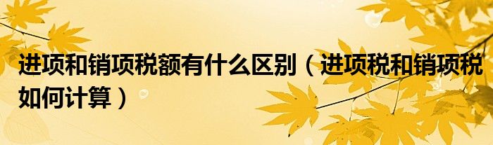 进项和销项税额有什么区别（进项税和销项税如何计算）
