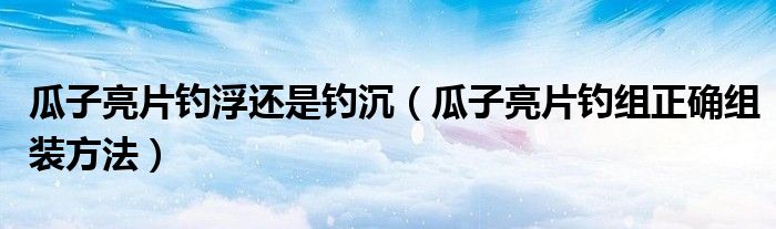 瓜子亮片钓浮还是钓沉（瓜子亮片钓组正确组装方法）