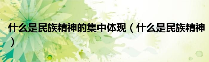 什么是民族精神的集中体现（什么是民族精神）