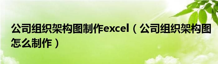 公司组织架构图制作excel（公司组织架构图怎么制作）