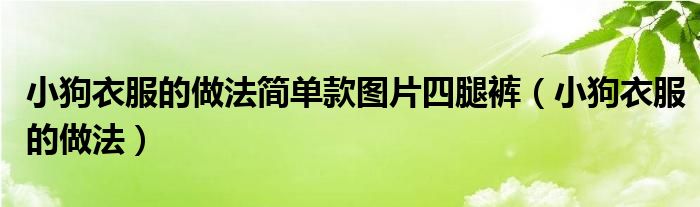 小狗衣服的做法简单款图片四腿裤（小狗衣服的做法）