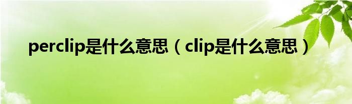 perclip是什么意思（clip是什么意思）