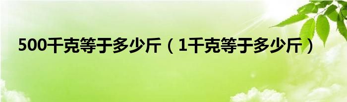 500千克等于多少斤（1千克等于多少斤）