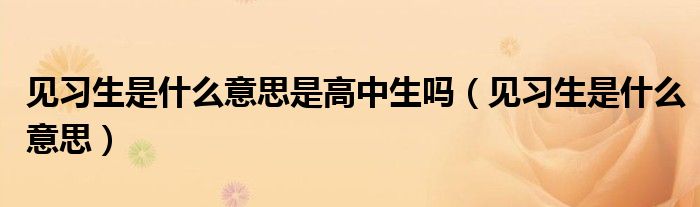 见习生是什么意思是高中生吗（见习生是什么意思）
