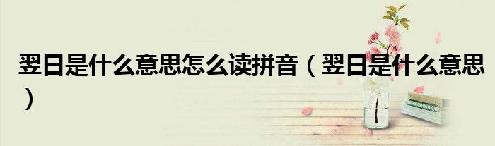 翌日是什么意思怎么读拼音（翌日是什么意思）