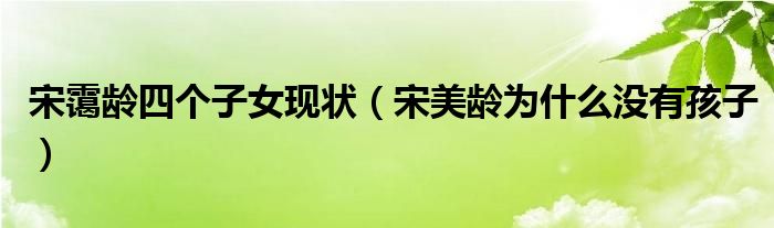 宋霭龄四个子女现状（宋美龄为什么没有孩子）