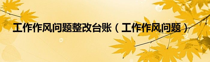 工作作风问题整改台账（工作作风问题）
