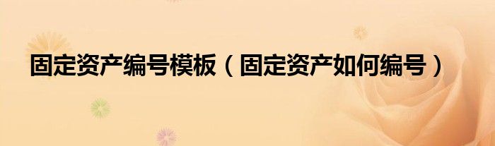 固定资产编号模板（固定资产如何编号）