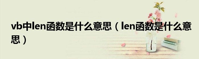 vb中len函数是什么意思（len函数是什么意思）