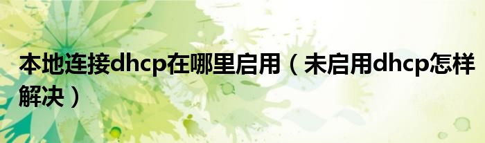 本地连接dhcp在哪里启用（未启用dhcp怎样解决）