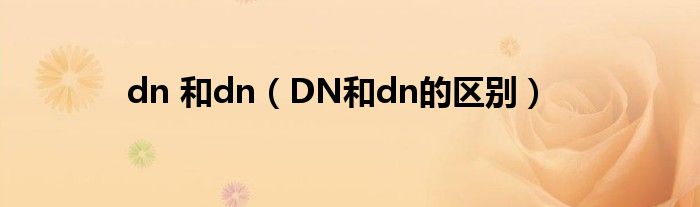 dn 和dn（DN和dn的区别）