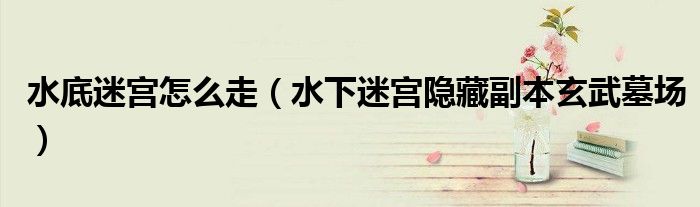 水底迷宫怎么走（水下迷宫隐藏副本玄武墓场）