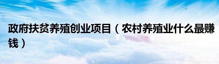 政府扶贫养殖创业项目（农村养殖业什么最赚钱）
