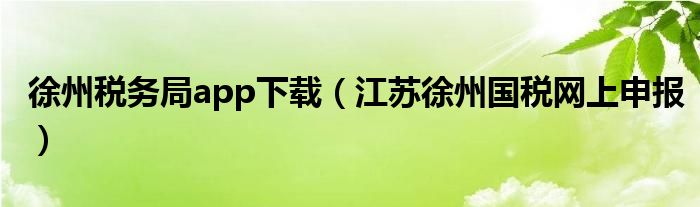 徐州税务局app下载（江苏徐州国税网上申报）