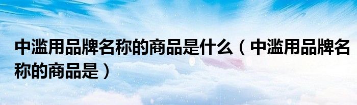 中滥用品牌名称的商品是什么（中滥用品牌名称的商品是）