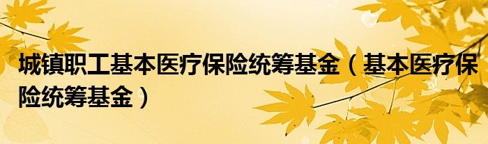 城镇职工基本医疗保险统筹基金（基本医疗保险统筹基金）