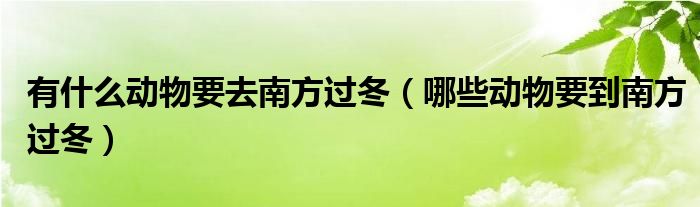有什么动物要去南方过冬（哪些动物要到南方过冬）