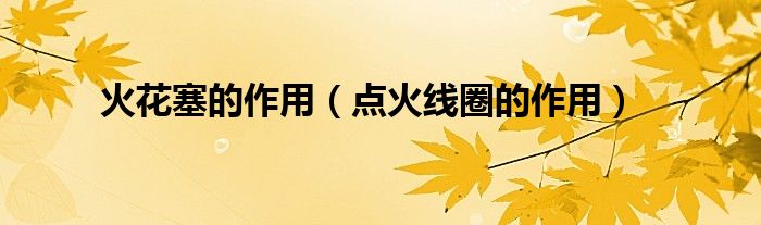 火花塞的作用（点火线圈的作用）