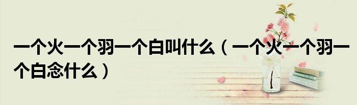 一个火一个羽一个白叫什么（一个火一个羽一个白念什么）