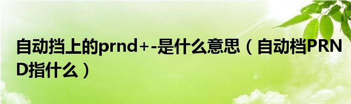 自动挡上的prnd+-是什么意思（自动档PRND指什么）