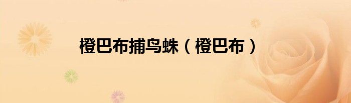 橙巴布捕鸟蛛（橙巴布）