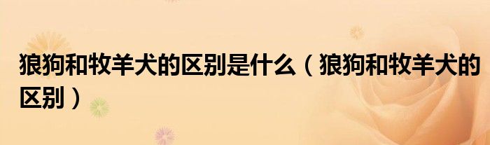 狼狗和牧羊犬的区别是什么（狼狗和牧羊犬的区别）